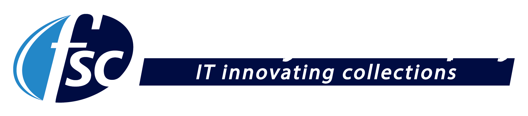 Financial  Systems Company